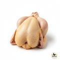 Poulet Entier de chair