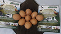 Oeuf de table بيض الرومي